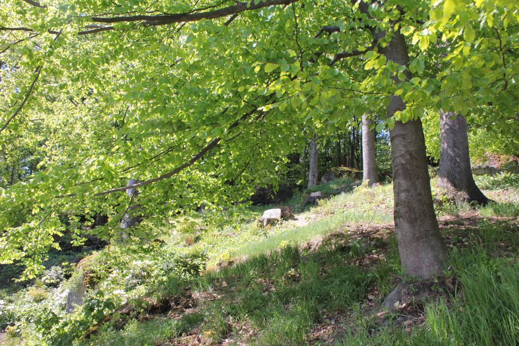 Asika Villa Йозефув Дул Екстериор снимка